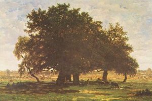 Les chênes d'Apremont